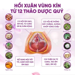 Thumbnail Viên uống Zlove tăng cường nội tiết tố nữ, se khít vùng kín, giảm bốc hỏa, mất ngủ ( hộp 50 viên ) 2