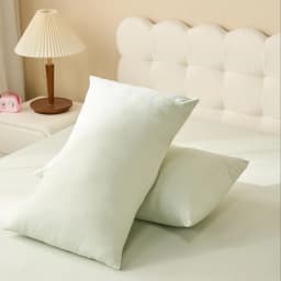 Thumbnail vỏ gối lụa tencel Goodnight Airsilk 5 tone màu pastel 45x65cm 2