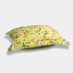 Thumbnail Vỏ gối nằm EVERON kích thước 50x70cm nhiều màu sắc, hiện đại sang trọng (dùng cho ruột gối 50x70) 2