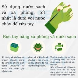 Thumbnail Xà Phòng Rửa Tay ALFASEPT Handwash Chiết Xuất Lá Trà Xanh Thân Thiện Với Da, Giúp Sát Khuẩn Nhanh Chóng, Hiệu Quả 3
