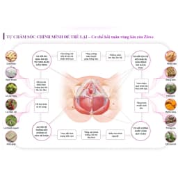 Thumbnail ZLV-Combo 4 Zlove Viên uống tăng cường sinh lý, làm hồng  se khít GrowGreenAz- Cân bằng nội tiết tố nữ( Hộp 50 viên) 2