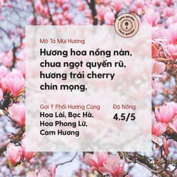 Thumbnail Tinh Dầu Hoa Anh Đào Organic Nguyên Chất Đậm Đặc Xông Thơm Phòng, Làm Nến Thơm Thiên Nhiên, Giúp Dễ Ngủ Heny Garden 10mL 3