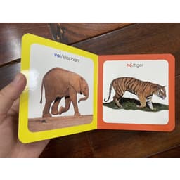 Thumbnail Sách-Từ điển hình ảnh cho bé ( chủ đề tự chọn) 2