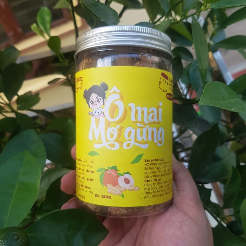 Ảnh Ô mai Mơ gừng Trạm ngọt Yumi xí muội chua mặn ngọt ăn vặt thơm ngon 2