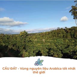 Thumbnail Cà Phê Arabica Cầu Đất Dalat Farm - Túi 250Gr (Dạng hạt) 1