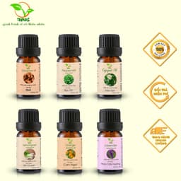 Thumbnail Tinh Dầu Thiên Nguyên Chất TAMAS 5ml, 10ml, Giúp Thơm Phòng, Khử Mùi, Đuổi Muỗi. 1