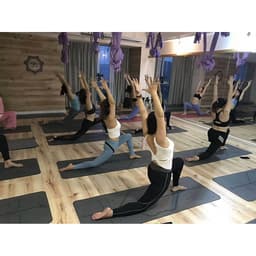 Thumbnail Thảm Tập YOGA Chống Trượt Tập GYM Tại Nhà Tập Thể Dục Chất Liệu Tpe 2 Lớp Chống Trơn Cao Cấp Chính Hãng Amalife 4