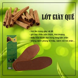 Thumbnail Lót Giày Quế Hè - Hương Quế Trà Bồng 4
