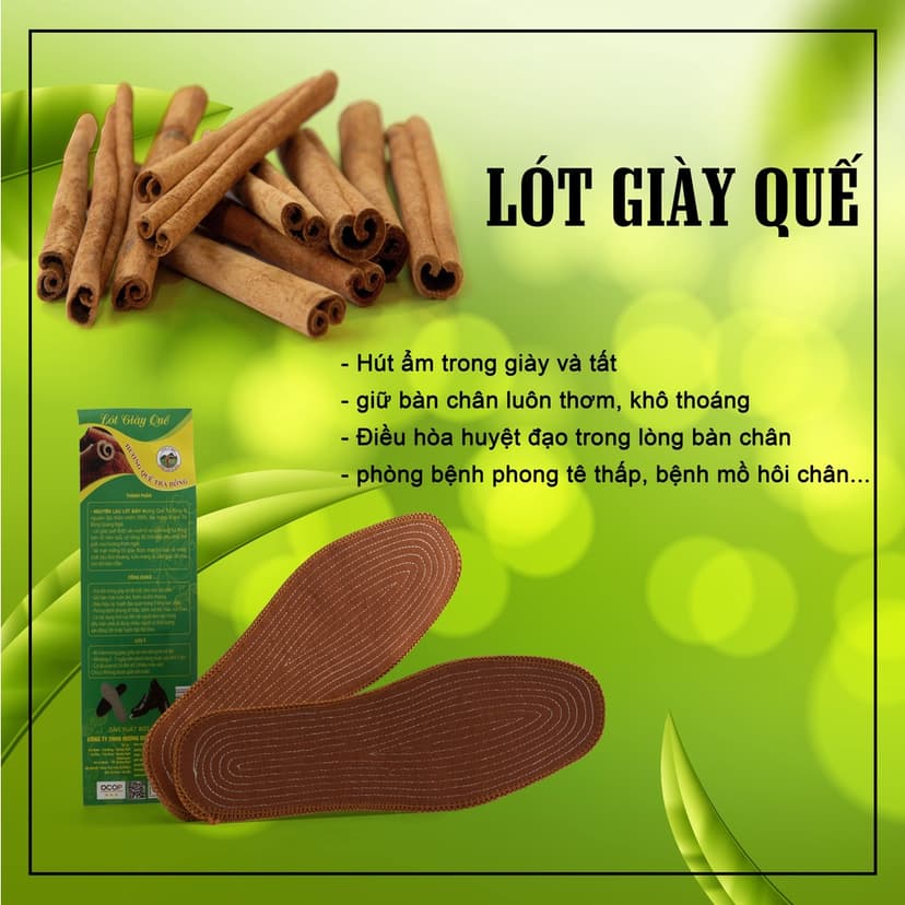 Ảnh Lót Giày Quế Hè - Hương Quế Trà Bồng 4