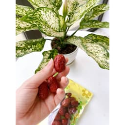 Thumbnail Táo đỏ Hàn Quốc sấy khô Saffron Việt Nam loại quả to đặc biệt gói 100gr 4