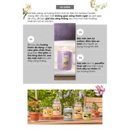 Thumbnail Nến thơm hũ Yankee Candle size L - nhiều mùi tùy chọn (623g) 2