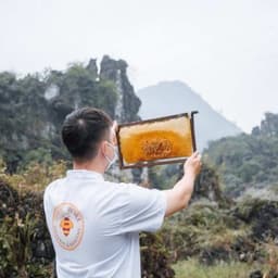 Thumbnail Mật ong chín Honimore Hoa Miền Núi 630g - tặng hũ 360g 4