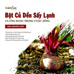 Thumbnail Bột củ dền nguyên chất sấy lạnh Dalahouse 60gr organic giúp bổ máu, đạt tiêu chuẩn Châu Âu 2