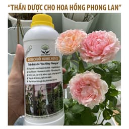 Thumbnail Dịch chuối Humic hữu cơ DOCNEEM, phân bón hoa hồng, lan, cây cảnh, bông to, hoa sai, đậm màu, lâu tàn, dung tích 1 lít 3