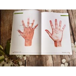 Thumbnail Sách - Đồ giải huyệt vị cơ thể - Tác giả Hán Trúc (Minh Lâm) 3
