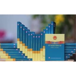 Thumbnail Sách - Bộ Luật Tố Tụng Hình Sự 2