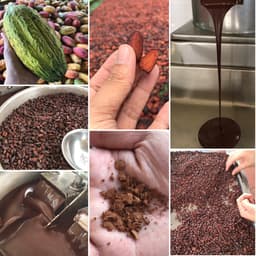 Thumbnail Bột ca cao nguyên chất không đường Cacao Mi Premium gu đậm làm bánh pha thức uống socola trà sữa 1kg 4