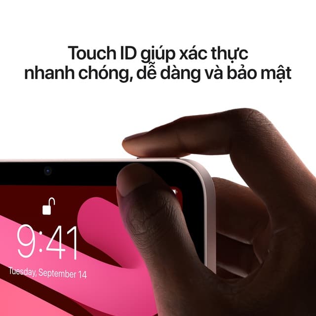 Ảnh Máy tính bảng Apple iPad mini 6 8.3-inch Wi-Fi 64GB 3