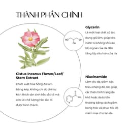 Thumbnail Mặt nạ dưỡng trắng da và ngăn ngừa lão hoá Truesky Integrated Mask chiết xuất hoa hồng đá 25g 2