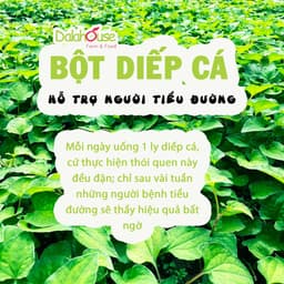 Thumbnail Bột rau diếp cá Dalahouse 120g nguyên chất hữu cơ sấy lạnh công nghệ đạt chuẩn Châu Âu 1