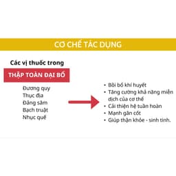 Thumbnail Sâm nhung đại bổ thận AN CHÂU dùng cho người thân yếu hộp 4 vỉ 40 viên - Global Pharma 3