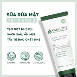 Thumbnail Sữa rửa mặt ngừa mụn Caryophy Portulaca Cleansing Foam 150ml 2