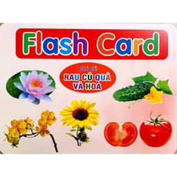 Thumbnail Bộ thẻ Flashcard song ngữ Việt Anh - Dạy trẻ về thế giới xung quanh 19 chủ đề (phương pháp Glenn Doman) (Việt Hà) 3