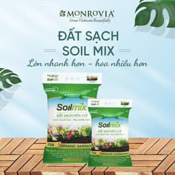 Thumbnail Đất trồng cây Soilmix MONROVIA cho kiểng lá, hoa hồng, sen đá, rau hữu cơ, bổ sung nấm đối kháng, đá perlite 3