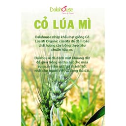 Thumbnail Bột cỏ lúa mì hữu cơ Dalahouse 120gr nguyên chất sấy lạnh 3