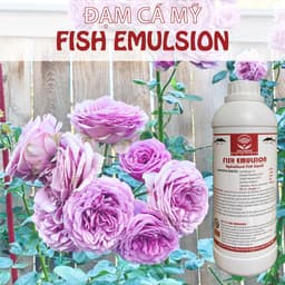 Thumbnail Phân đạm cá Docneem, phân cá Fish Emulsion hữu cơ cho hoa hồng, rau sạch, hoa, cây cảnh trong nhà ngoài trời, chai 1L 2