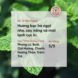 Thumbnail Tinh Dầu Bạc Hà Organic Nguyên Chất Đậm Đặc Xông Thơm Phòng, Làm Nến Thơm Thiên Nhiên, Giúp Dễ Ngủ Heny Garden 10mL 2