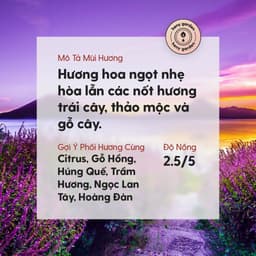 Thumbnail Tinh Dầu Oải Hương Organic Nguyên Chất Đậm Đặc Xông Thơm Phòng, Làm Nến Thơm Thiên Nhiên, Giúp Dễ Ngủ Heny Garden 10mL 2