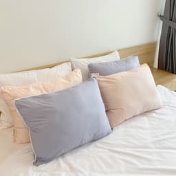 Thumbnail Ruột Gối Đầu 5S (màu ngẫu nhiên) (Thấp-Mềm) 2