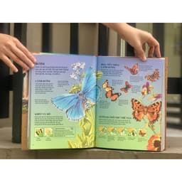 Thumbnail SÁCH - Bách khoa tri thức dành cho trẻ em (Usbone) bìa cứng 2