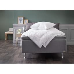 Thumbnail Bộ 2 ruột gối | JYSK Skien | polyester | D70xR50cm, 900g 2