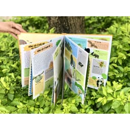 Thumbnail SÁCH - Atlas động vật - đinh tị 1
