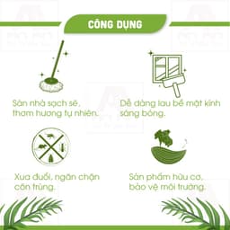 Thumbnail Nước lau nhà quế đậm đặc AN AN, đuổi muỗi và côn trùng hiệu quả với dung tích 1000 ml 4