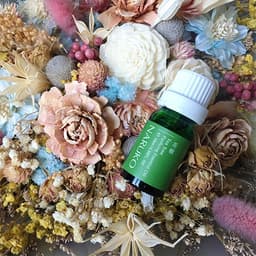 Thumbnail Tinh dầu ngăn ngừa và làm giảm mụn, sưng tấy Naruko trà tràm Tea Tree Purifying Essential Oil 10ml (Bản Đài) 4