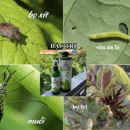 Thumbnail Giấm gỗ sinh học DOCNEEM phòng ngừa xua đuổi côn trùng, diệt nấm lá cho cây cảnh, rau củ quả, hoa hồng, phong lan 500ml 1