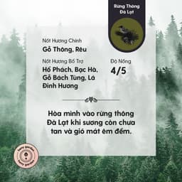 Thumbnail Tinh Dầu Phối Hương Da Lat Forest (Gỗ) Xông Thơm Phòng, Làm Nến Thơm Thiên Nhiên Heny Garden 10mL 1