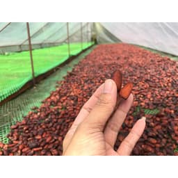 Thumbnail Bột cacao 100% nguyên chất không đường Thức uống sô cô la chuẩn ăn kiêng Keto CACAOMI Original 80g 4