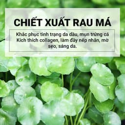 Thumbnail Kem Dưỡng Giảm Mụn, Làm Dịu Da Chiết Xuất Rau Má Skin1004 Madagascar Centella 75ml Mẫu mới 2