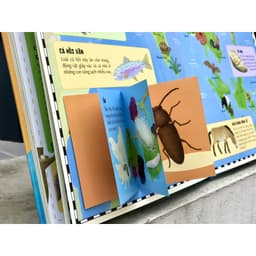 Thumbnail SÁCH - Atlas động vật - đinh tị 3
