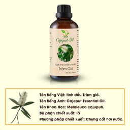 Thumbnail Tinh dầu Tràm gió 100ml/50ml kháng khuẩn, giữ ấm 2