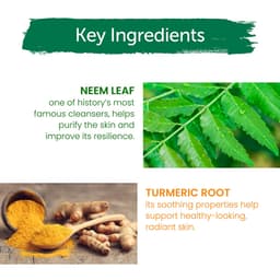 Thumbnail Set 2 xà bông giảm mụn cơ thể từ lá neem Himalaya Neem Turmeric Soap 75gx2 4