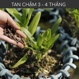 Thumbnail Phân trùn quế nguyên chất MONROVIA, tan chậm hữu cơ bón cho hoa hồng, lan, cây cảnh, rau củ quả 3
