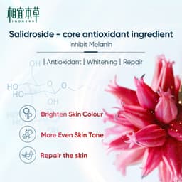 Thumbnail Kem dưỡng trắng sáng da INOHERB Rhodiola cấp ẩm chống oxy hóa sử dụng vào ban đêm cao cấp 1