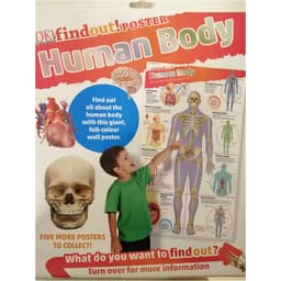 Thumbnail Sách Ngoại văn: DKfindout! Human Body Poster( English) 1