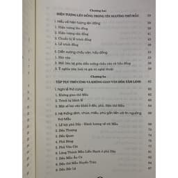 Thumbnail Sách - Phong Tục Dân Gian - Nghi Lễ Thờ Mẫu 3