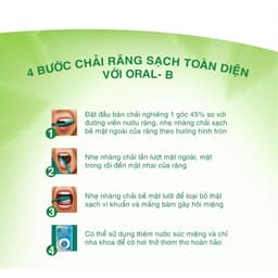 Thumbnail Bàn Chải ORAL-B Tinh Chất Trà Xanh/ Trà Đen - Vỉ 5 cây 3